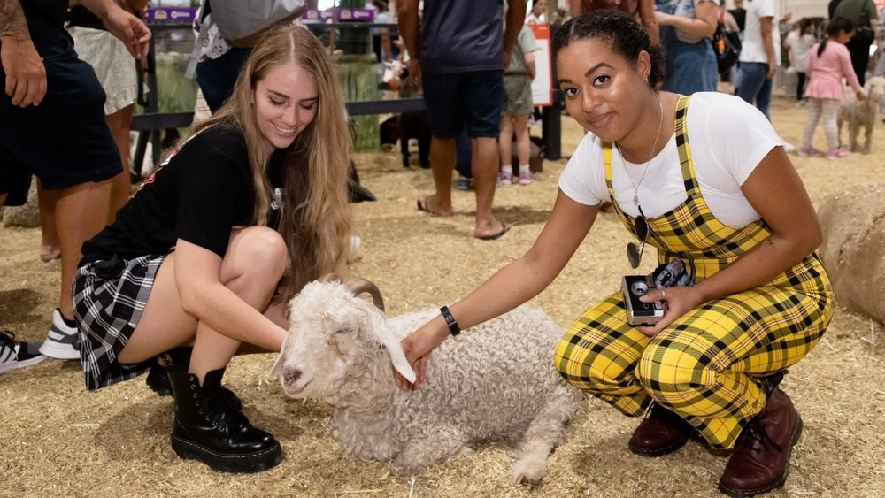 Your Ultimate Fun Family Guide to Sydney Royal Easter Show 2022 Klook