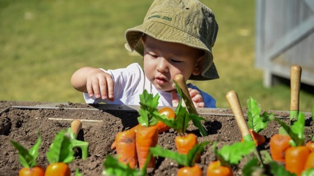 Enjoy the ultimate farm experience without leaving the city. Credits: @sydneyroyal_eastershow
