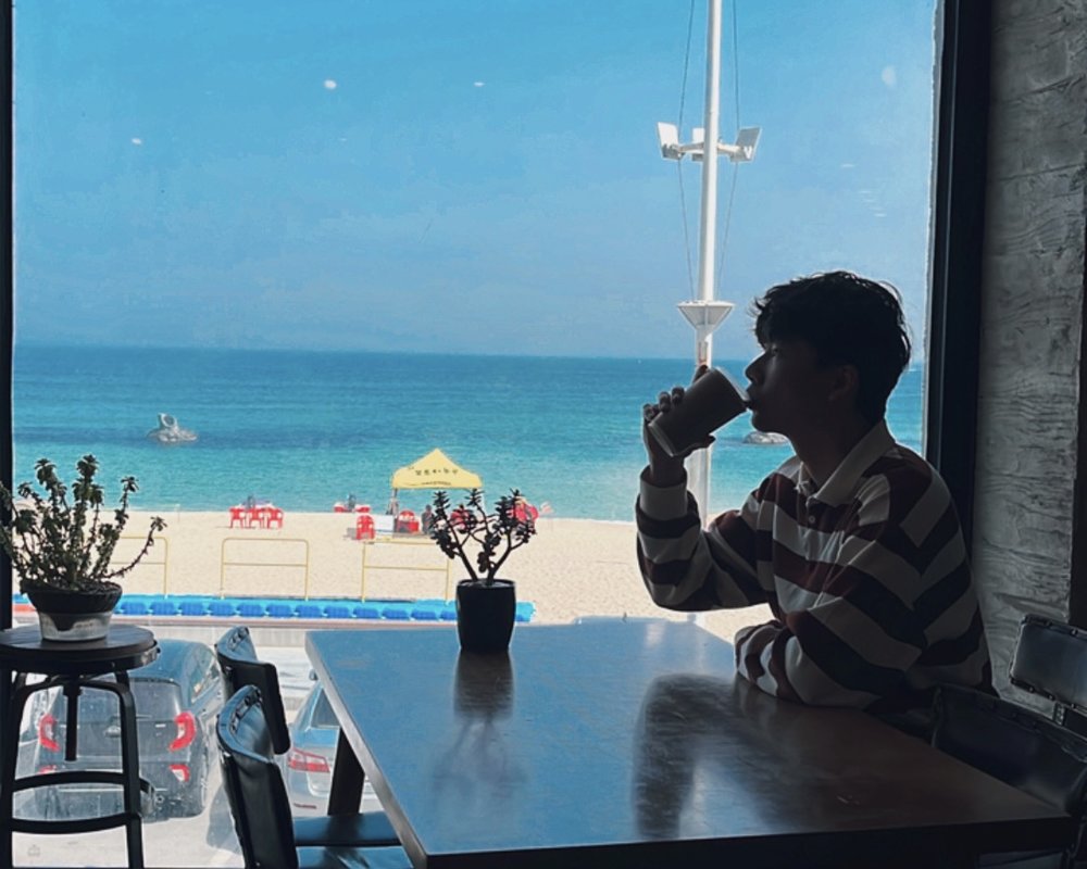 bossa nova gangneung