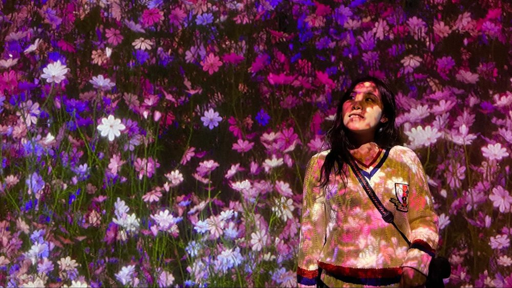 arte museum gangneung