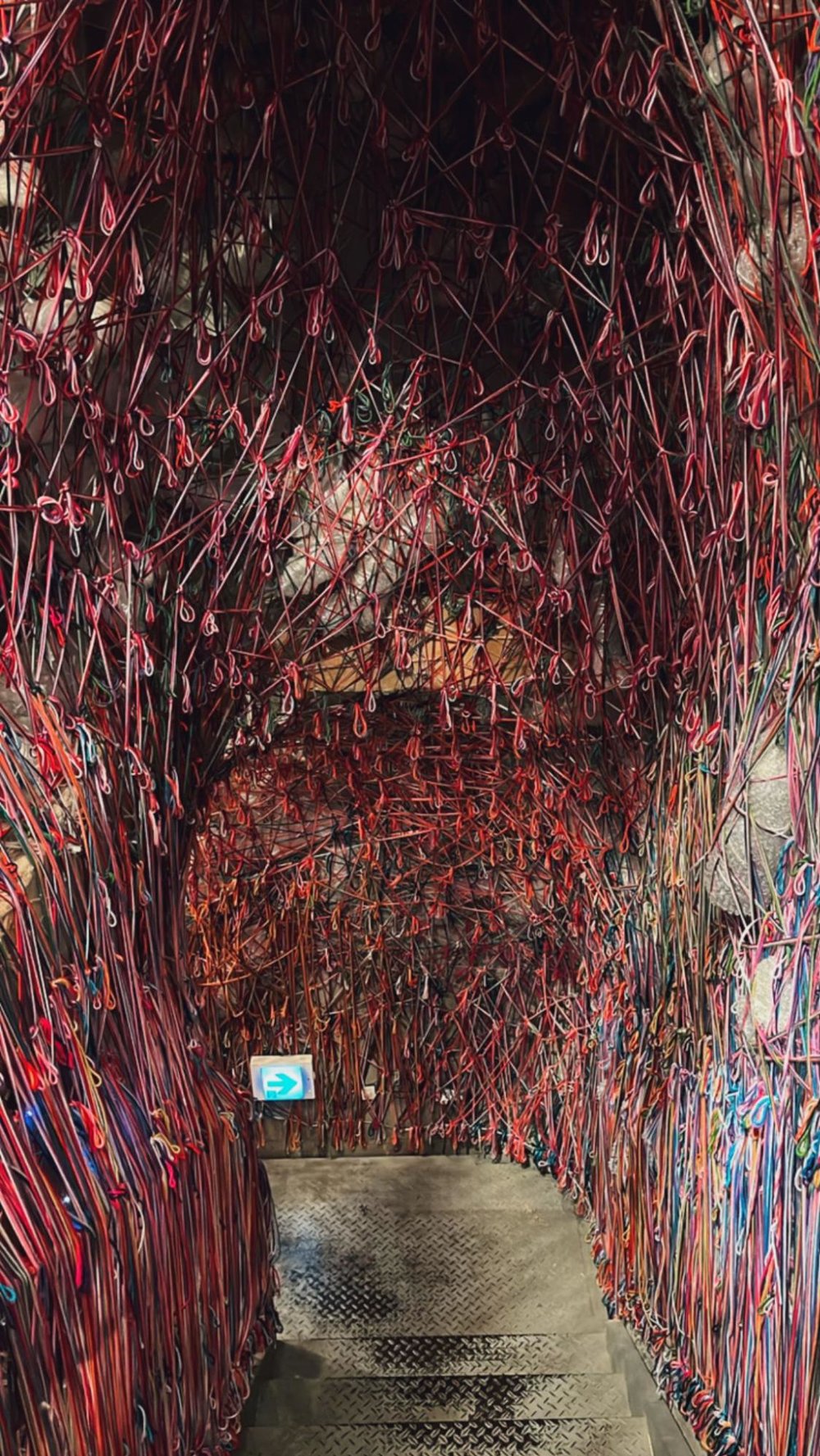 haslla art world string art