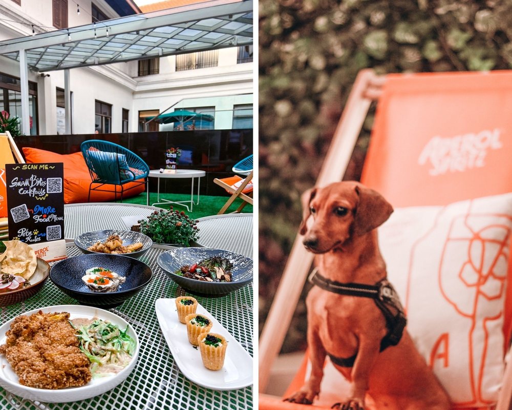 ร้านโฮเทล อินดิโก้ การ์เดน (Hotel Indigo Garden) 3