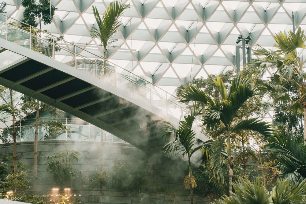 มอร์นิ่งอินเดอะวู้ดส์: แพ็กเกจการอาบป่าบำบัด ที่ชิเซโด้ ฟอเรสต์ วัลเลย์ 2