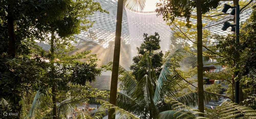 มอร์นิ่งอินเดอะวู้ดส์: แพ็กเกจการอาบป่าบำบัด ที่ชิเซโด้ ฟอเรสต์ วัลเลย์ 3