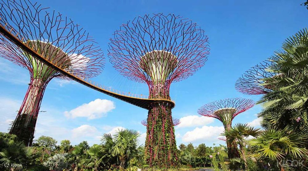 การ์เด้นส์ บาย เดอะ เบย์ (Gardens by the Bay) 2