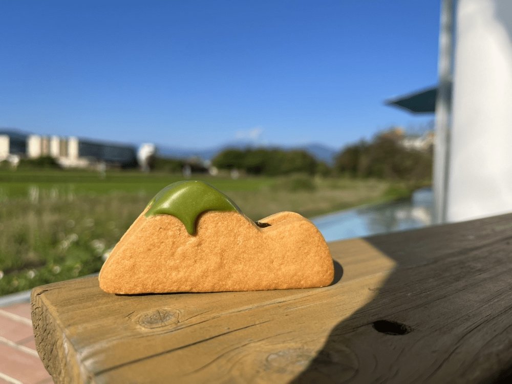 宜蘭伴手禮烏龜島