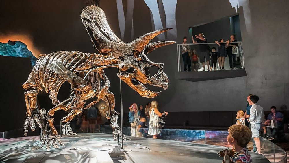 Marvel at the gigantic fossil at Melbourne Museum. Credits: @milliemummymelbourne