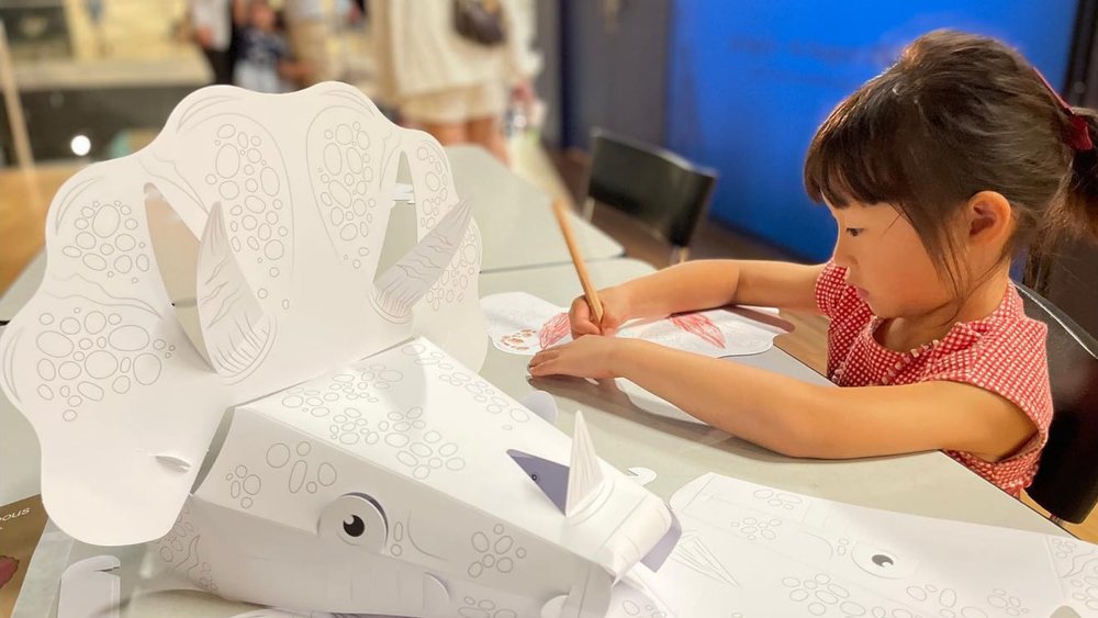 Decorate your own Triceratops while you’re here. Credits: @iamannalu