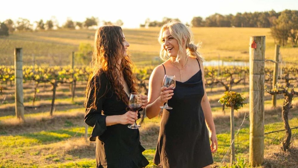 Quench your wine thirst at the Iron Gate Estate.