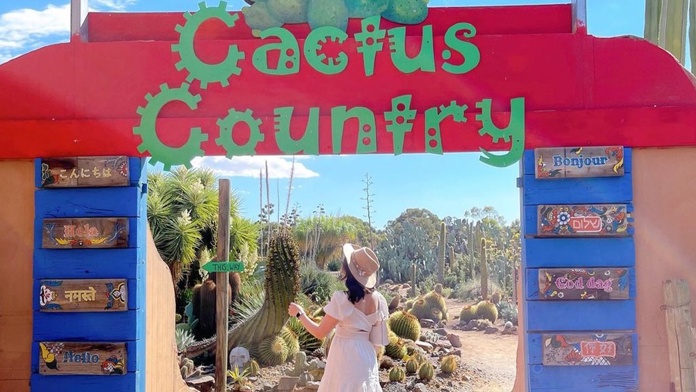 Why fly all the way to Mexico when you can head to the Murray Valley for stunning desert vistas. Credit: vera.abba