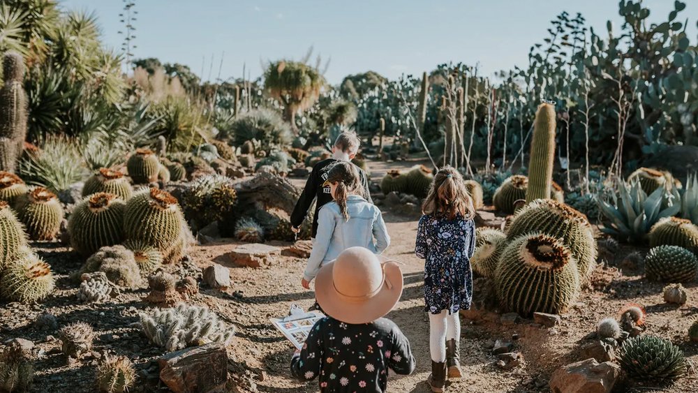 With fun activities and special treats like cactus ice cream, even the kids will enjoy a trip to the farm.