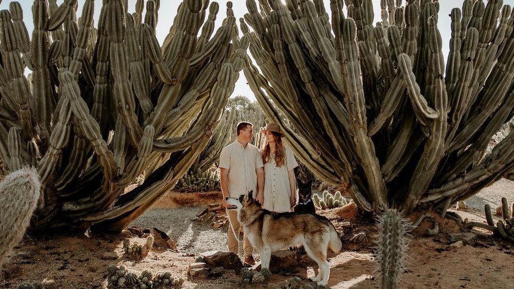 With over 4,000 species of eye-catching cacti, there are heaps of photo spots to choose from. Credit: aliciaflegphotography