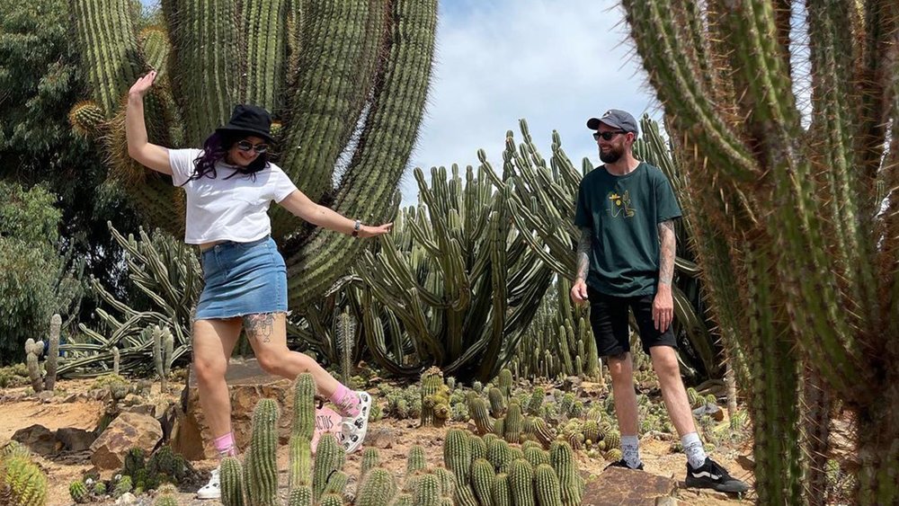 Explore the cactus farm’s eight different trails and discover the wacky shapes of the plants. Credit: bmonks10