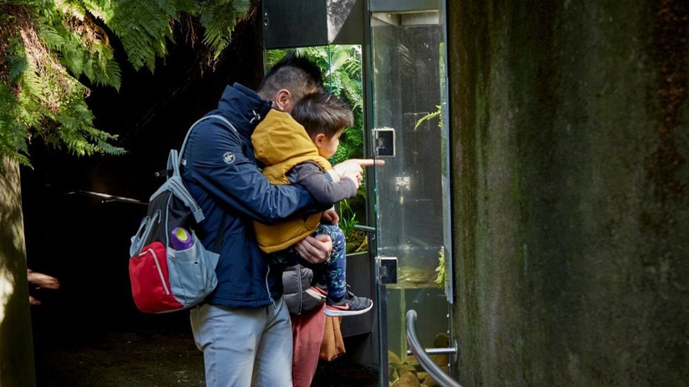 Learning knows no age limits at the museum Credit: melbournemuseum