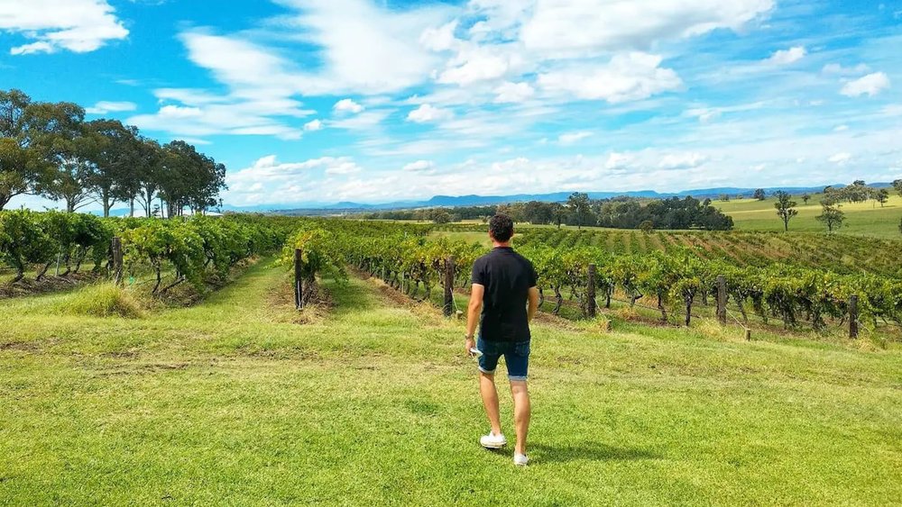 Stroll along the picturesque vineyards at Thomas Allen Wines. Image Credits: @ellensuzanne_