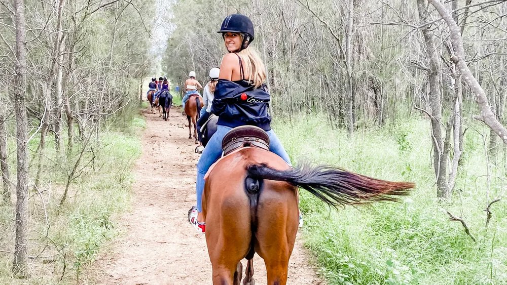 Get ready for a fun and wild ride!