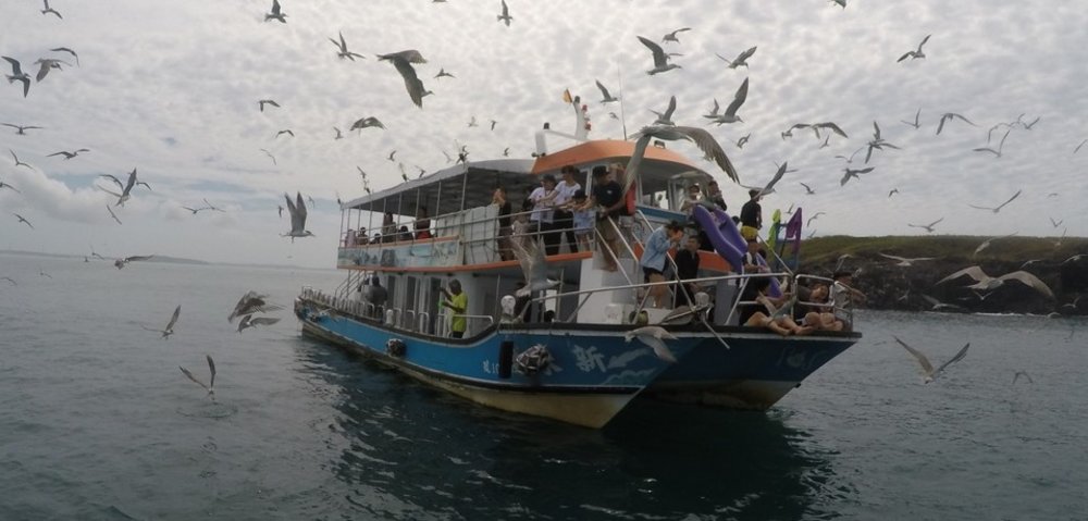 澎湖跳島:東海七景島