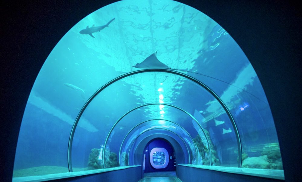 澎湖水族館 海底隧道