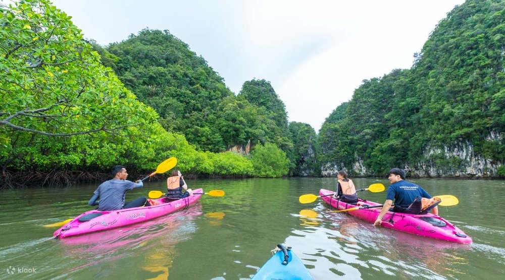 ทริปพายเรือคายัคตะลุยป่าชายเลนในกระบี่