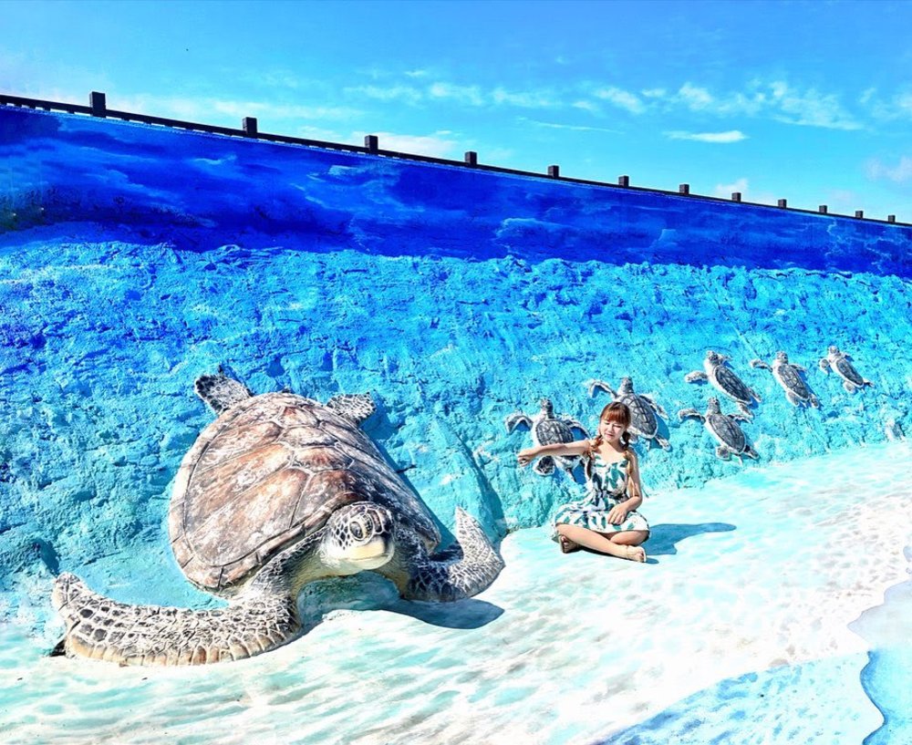 澎湖景點:竹灣海龜地景藝術