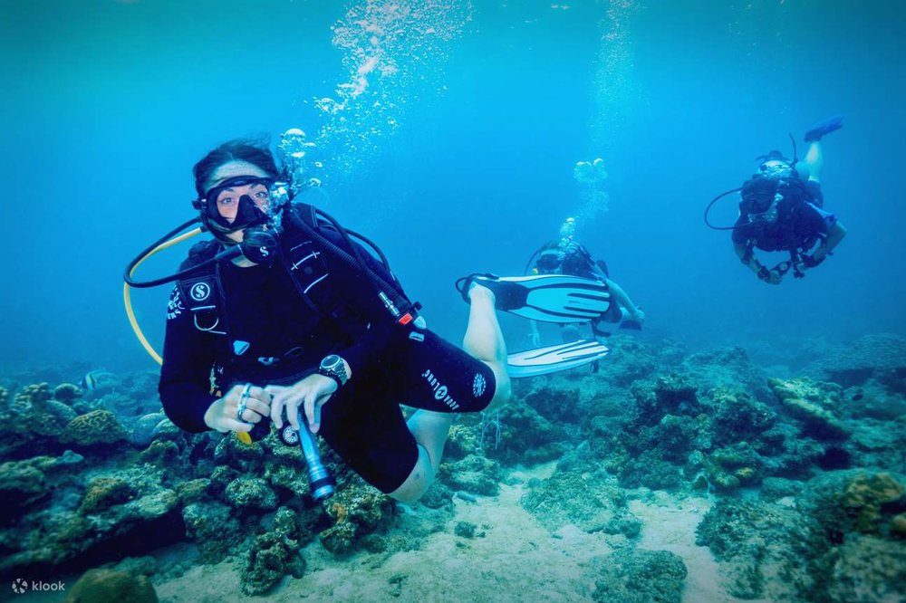 แพ็กเกจดำน้ำลึกแบบเต็มวันที่เกาะหลีเป๊ะ