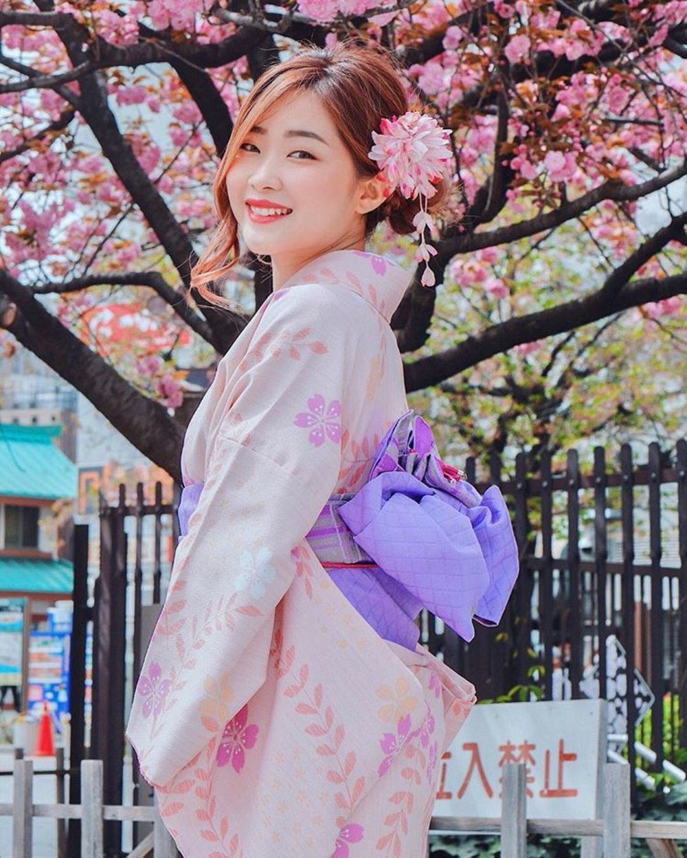 best time to visit japan korea month april cherry blossoms spring