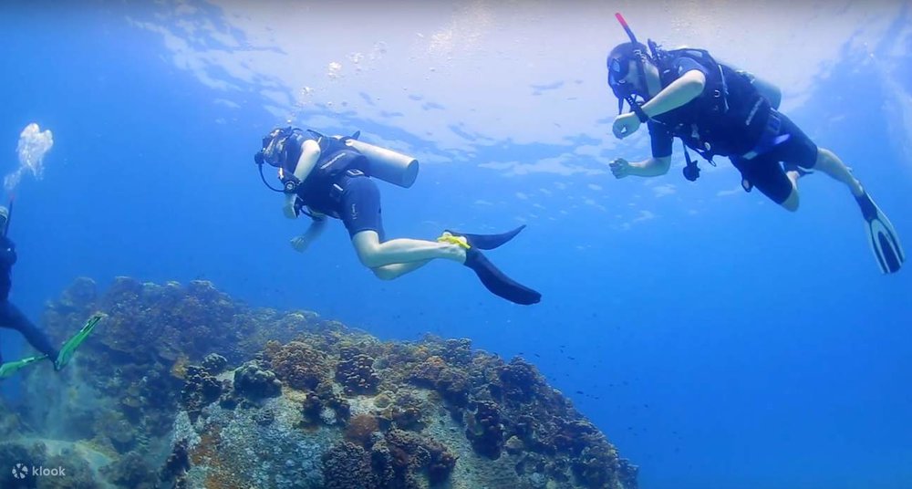 คอร์สดำน้ำลึกที่เกาะสมุย โดย The Dive Academy