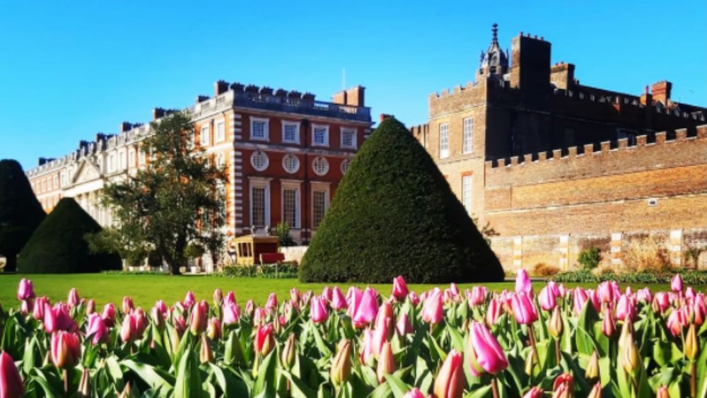 Image credits: @hamptoncourtpalacegardener