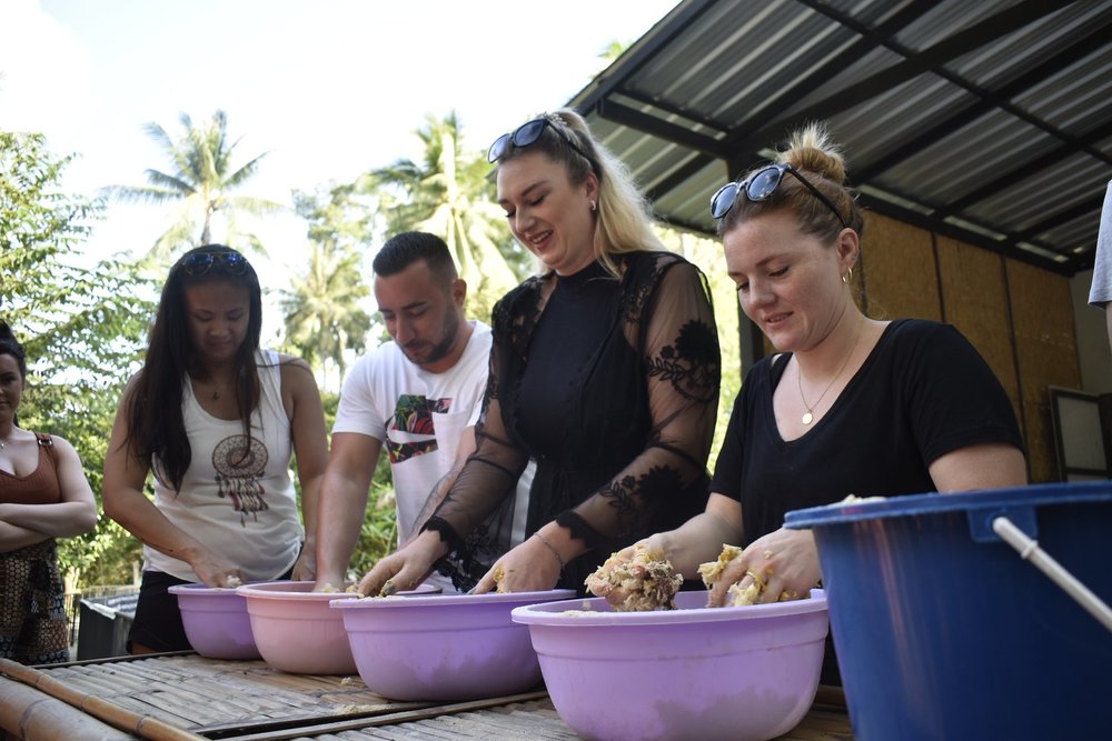 ทำอาหารให้ช้าง 