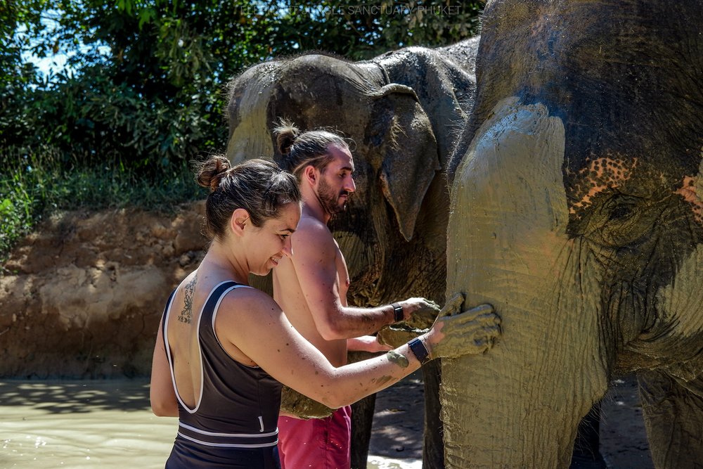 สปาโคลนกับช้าง