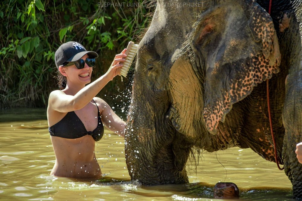  อาบน้ำช้าง  2