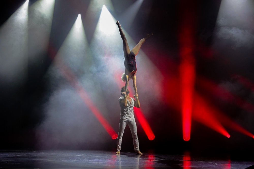 spectrum of the seas gold art duo