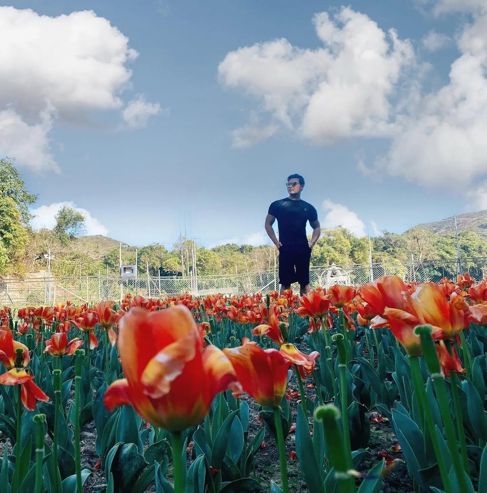 大片的鬱金香海位於白臘村入口,只屬期間限定,有沒有得打卡就要看彩數了。(Instagram @mixsontang)