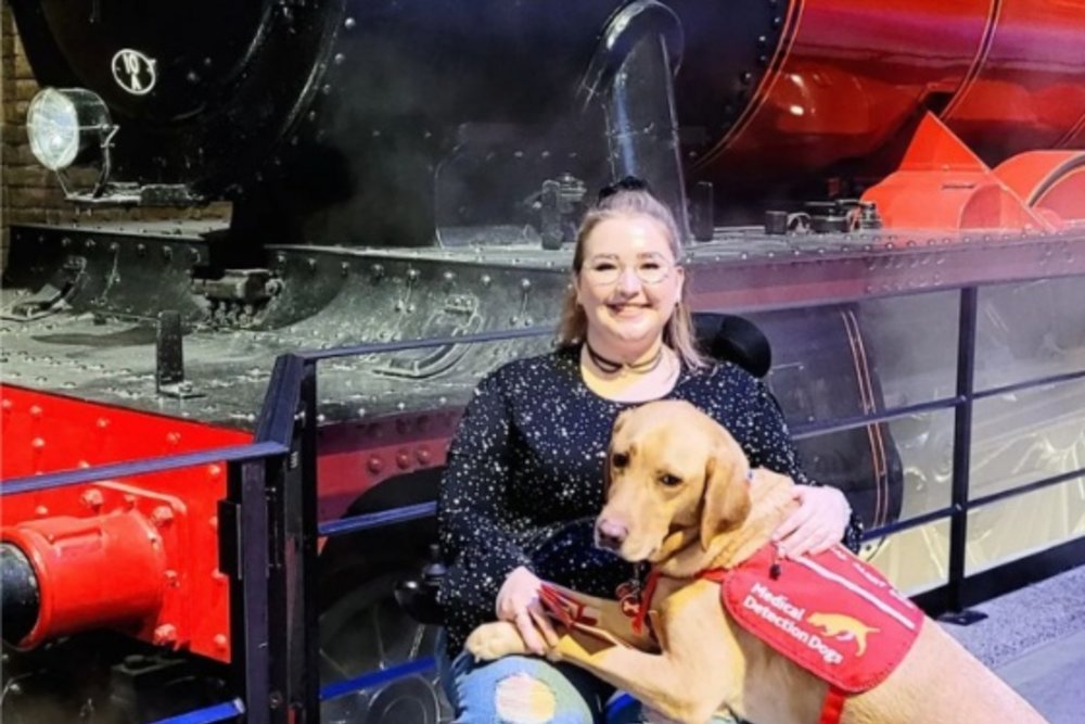 You can explore Warner Bros. Studio with your medical alert dog!