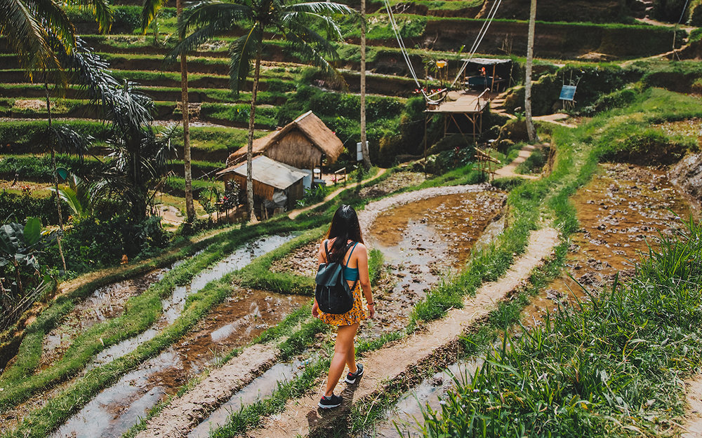 Tegelalang Rice Fields