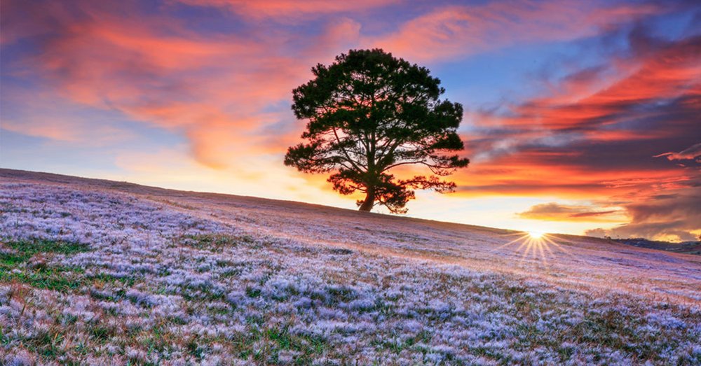 du-lich-doi-co-hong-da-lat