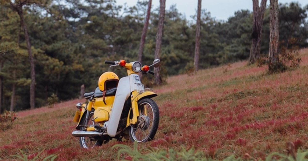 cach-di-doi-co-hong-da-lat