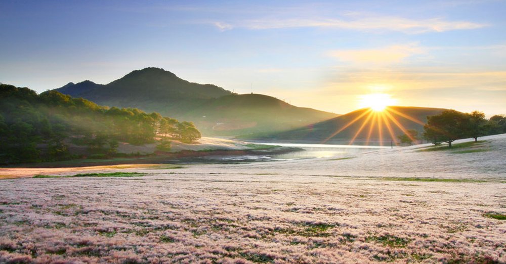 cac-doi-co-hong-da-lat-noi-tieng