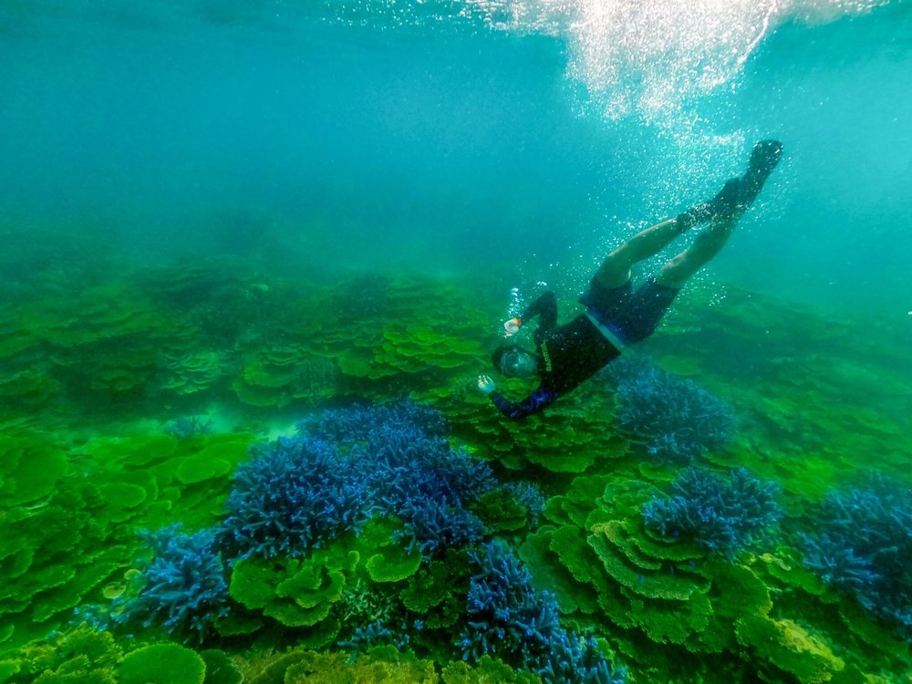 南方四島薰衣草森林浮潛