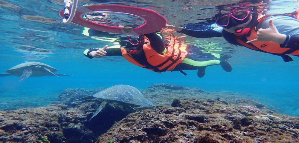小琉球熊潛水花瓶岩浮潛＆海龜共游