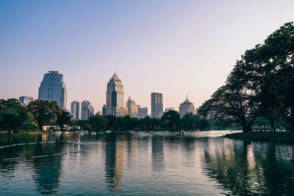 trees in lumpini park bangkok