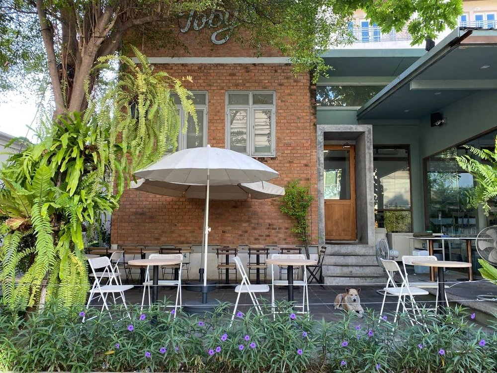 Toby's on Sukhumvit 38 best bangkok cafe