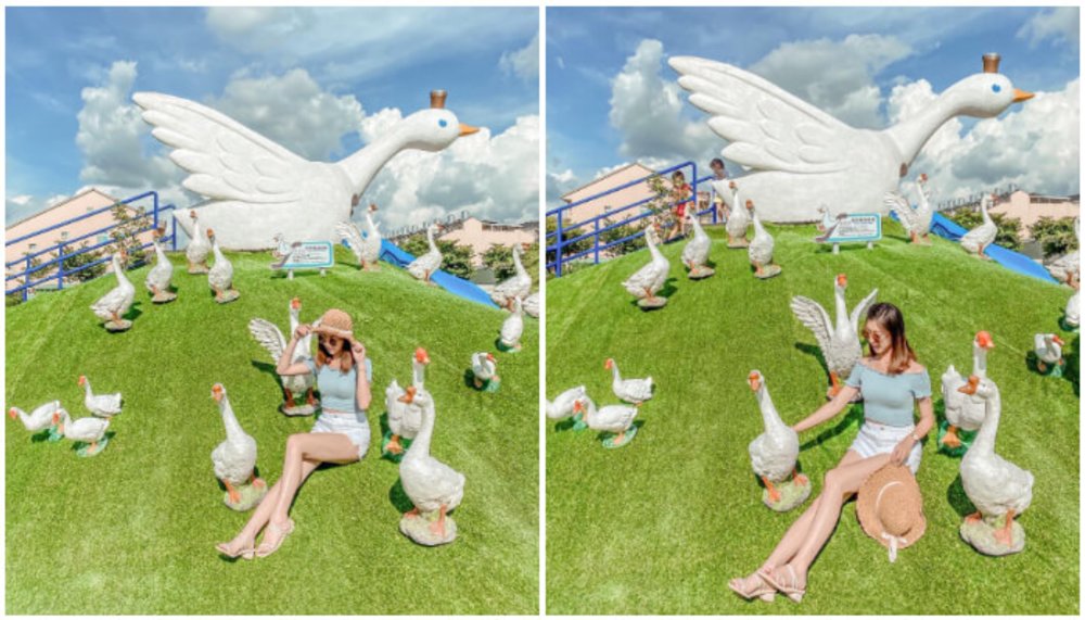 雲林景點 鵝媽媽鵝童樂園
