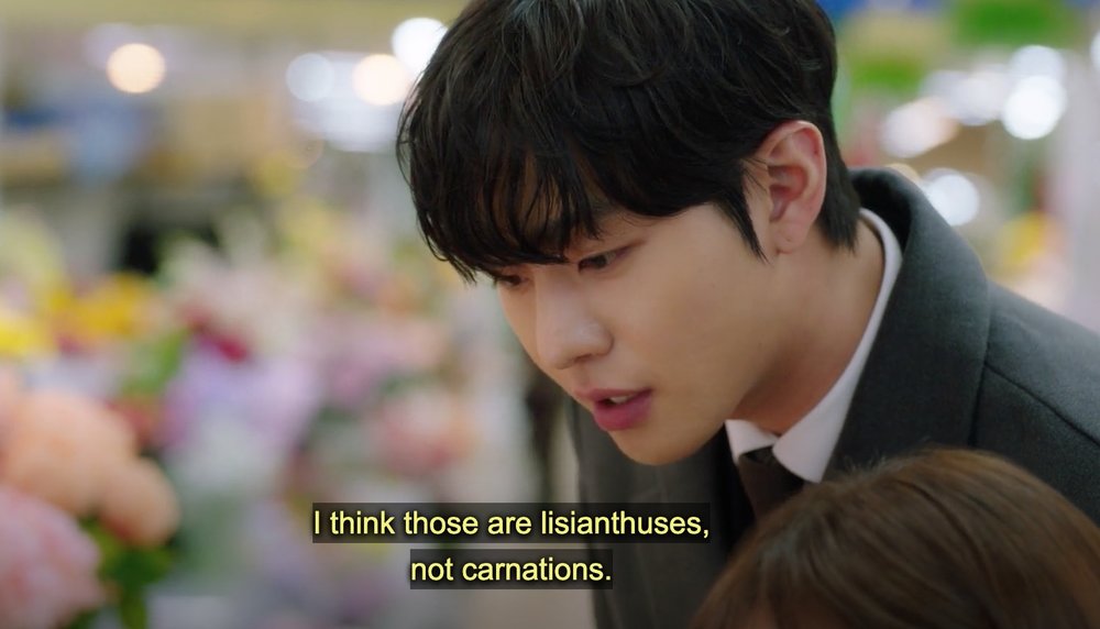 kdrama business proposal filming location seoul korea yangjae flower market