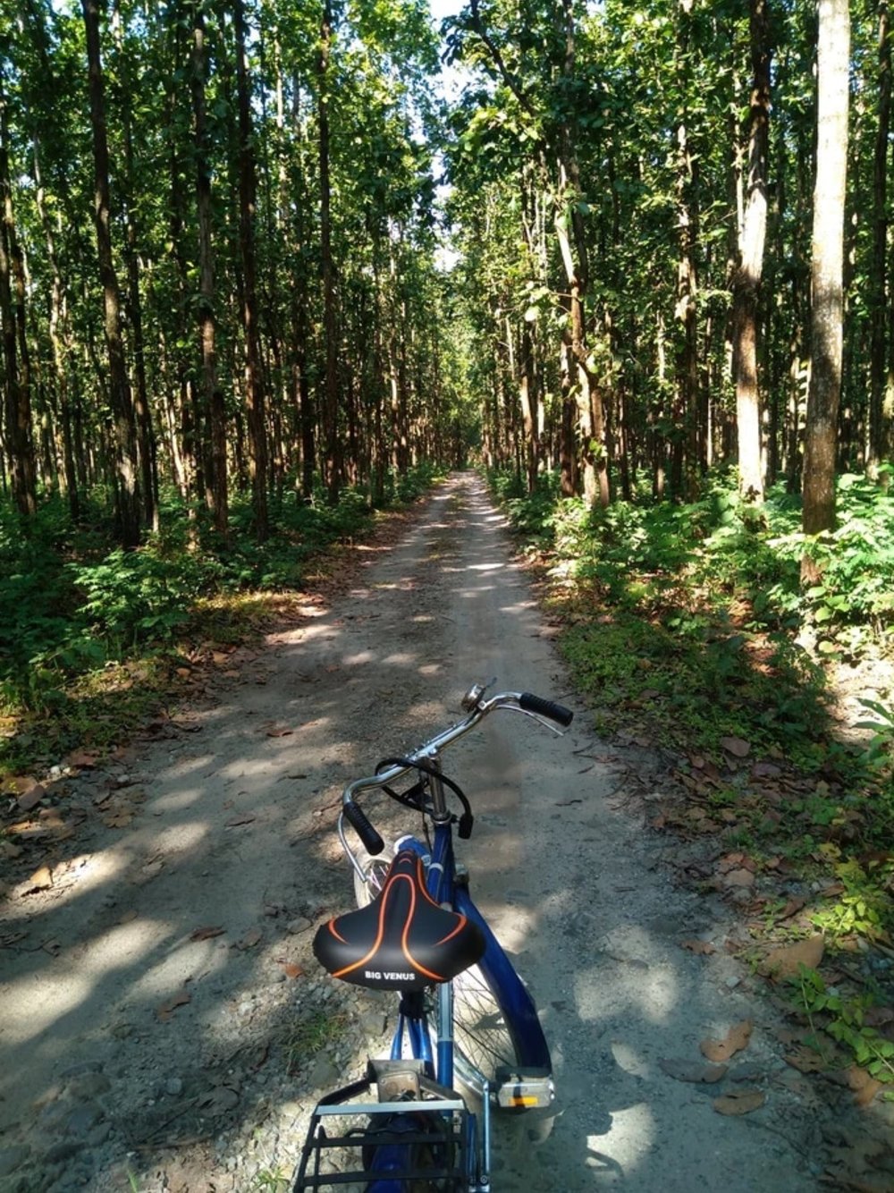 เส้นทางพัทนัมสายเก่า (Old Putnam Trail)