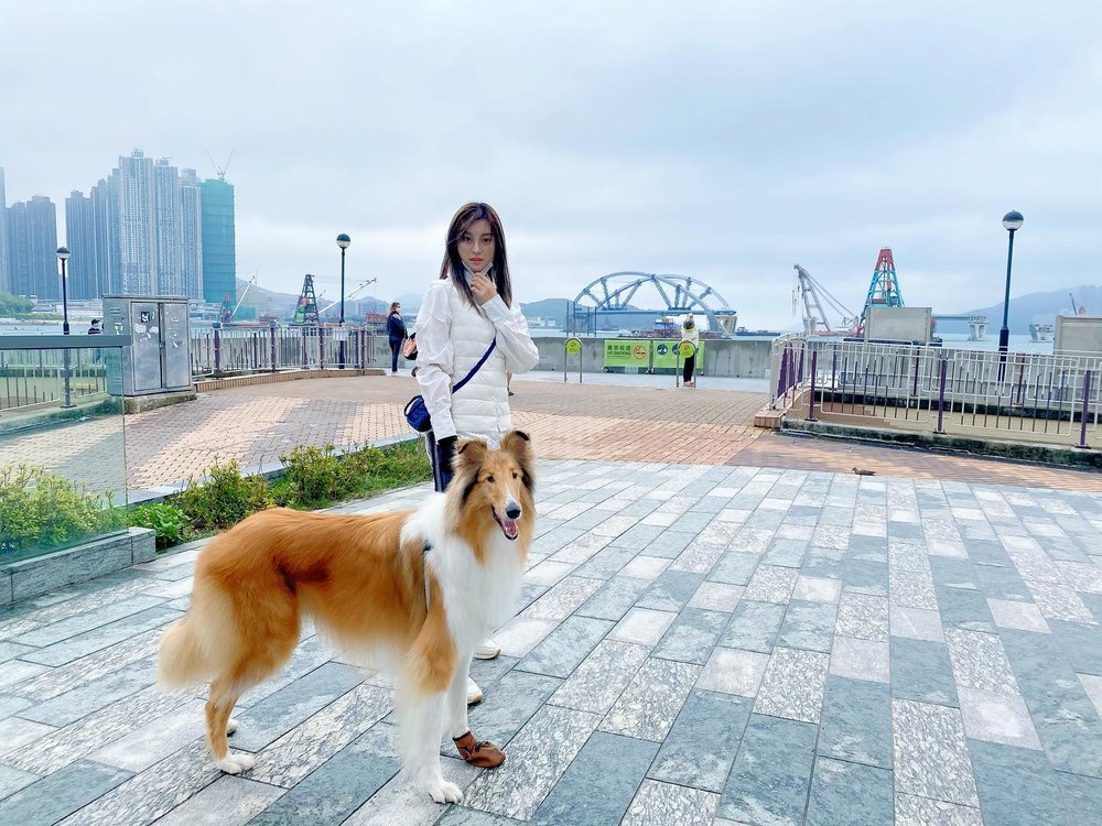 海濱長廊的景色優美。(Instagram @gabriella_xyvx)