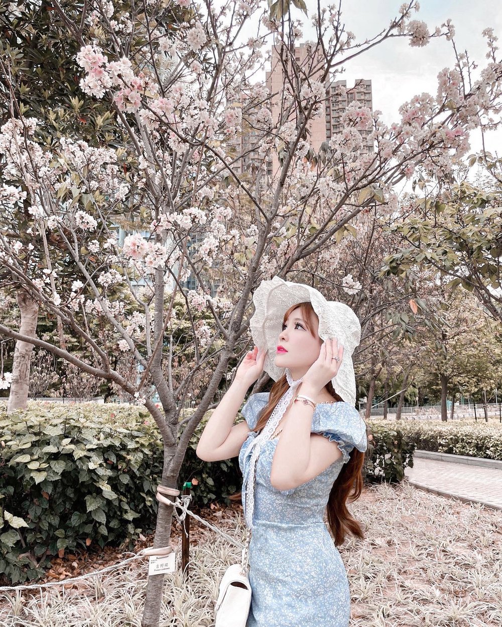 將軍澳單車館公園種了幾棵櫻花樹,春天時份外吸引。(Instagram @louiselee)