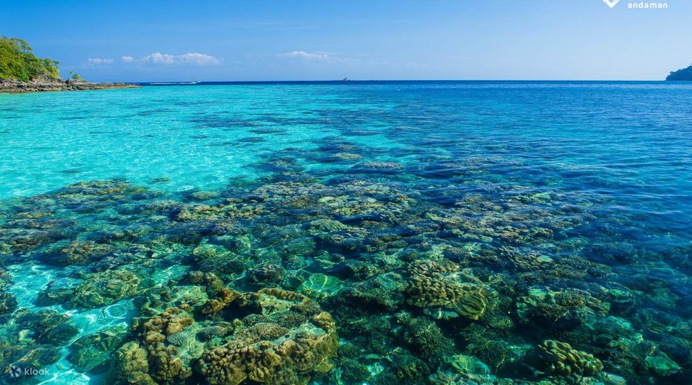 ทัวร์หมู่เกาะสุรินทร์ด้วยเรือสปีดโบ๊ท โดย Love Andaman 2