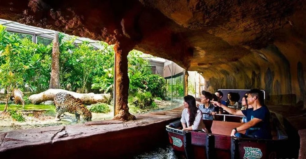 บัตรเข้าชมสวนสัตว์ริเวอร์ วันเดอร์ส (River Wonders) ในสิงคโปร์
