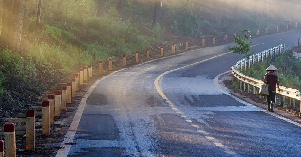 Rừng thông đèo Prenn